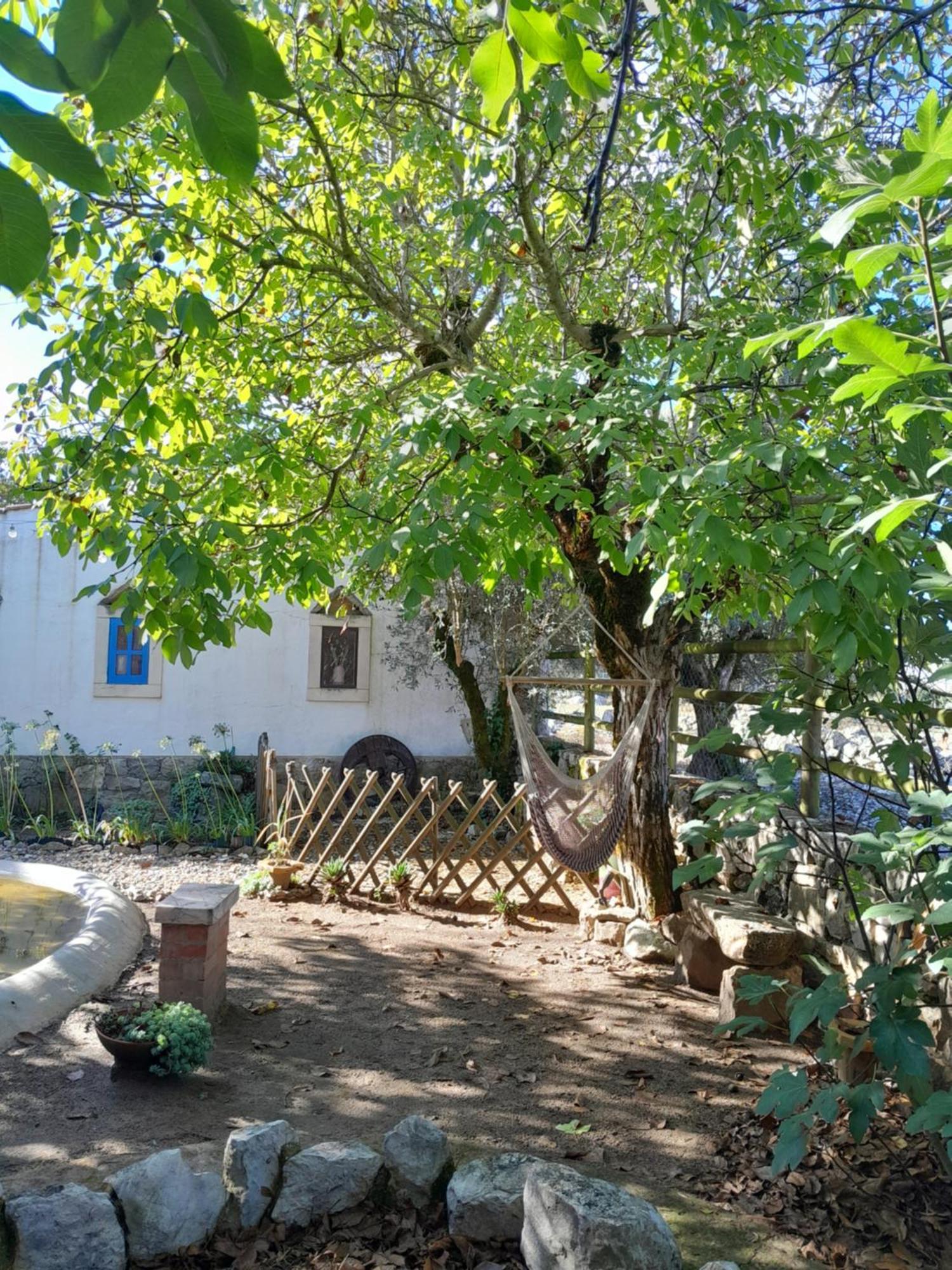 Refugio Das Artes Guesthouse Porto de Mos  Exterior photo